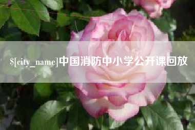 义乌中国消防中小学公开课回放