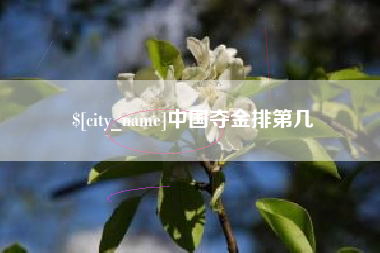 义乌中国夺金排第几