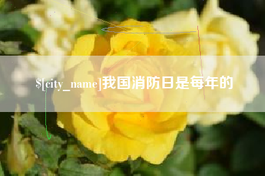 义乌我国消防日是每年的