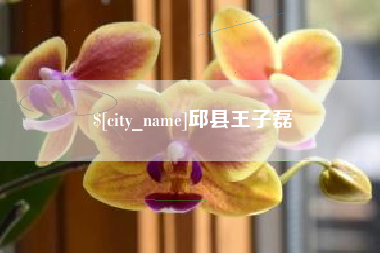 义乌邱县王子磊