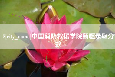 义乌中国消防救援学院新疆录取分数