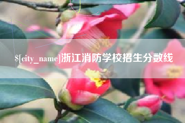 义乌浙江消防学校招生分数线