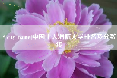 义乌中国十大消防大学排名及分数线
