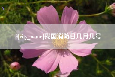 义乌我国消防日几月几号