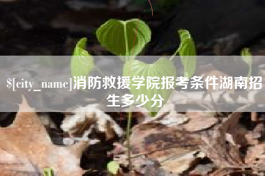 义乌消防救援学院报考条件湖南招生多少分