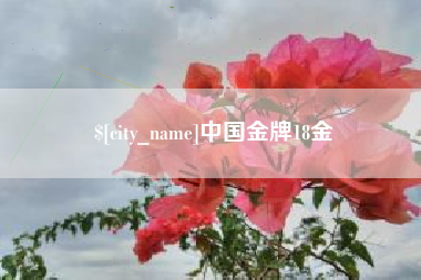 义乌中国金牌18金