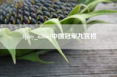 义乌中国冠军九宫格