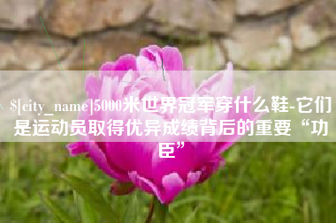 义乌5000米世界冠军穿什么鞋-它们是运动员取得优异成绩背后的重要“功臣”