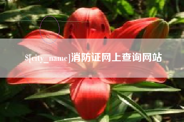 义乌消防证网上查询网站