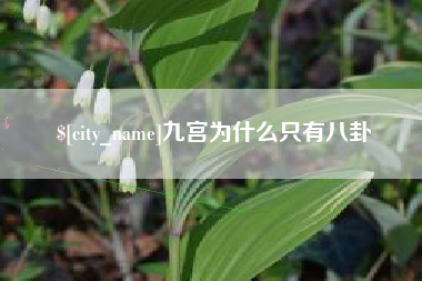 义乌九宫为什么只有八卦
