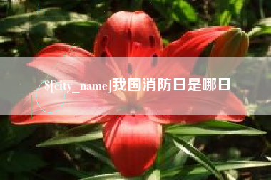 义乌我国消防日是哪日