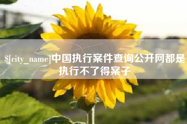 义乌中国执行案件查询公开网都是执行不了得案子