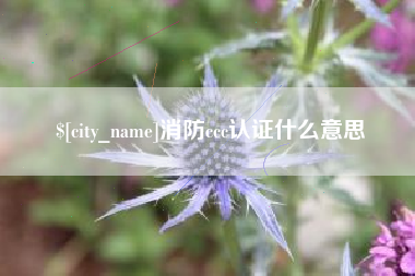 义乌消防ccc认证什么意思