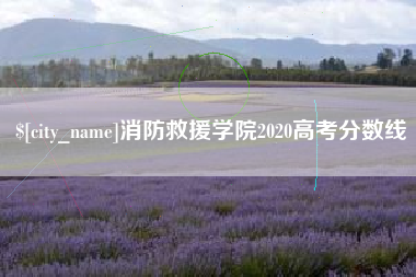 义乌消防救援学院2020高考分数线