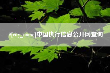 义乌中国执行信息公开网查询