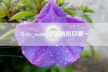 义乌全国消防日哪一