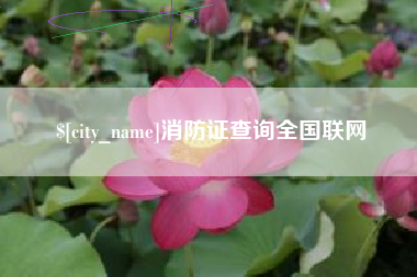 义乌消防证查询全国联网