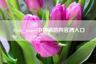 义乌中国消防网官网入口
