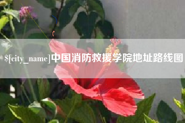 义乌中国消防救援学院地址路线图