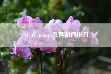 义乌九宫如何排日