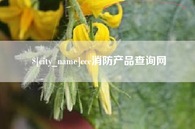 义乌ccc消防产品查询网