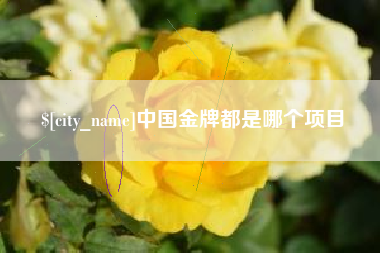 义乌中国金牌都是哪个项目