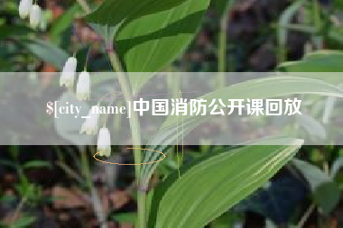 义乌中国消防公开课回放