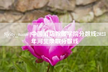义乌中国消防救援学院分数线2023年河北录取分数线