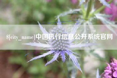 义乌中国执行信息公开系统官网