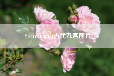 义乌古代九宫图片