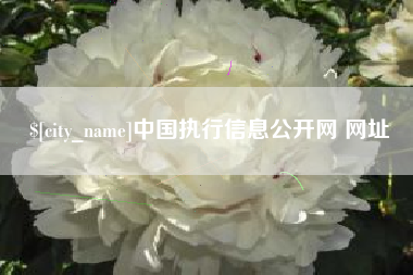义乌中国执行信息公开网 网址