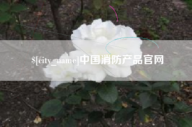 义乌中国消防产品官网