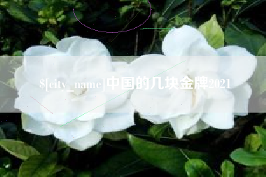 义乌中国的几块金牌2021