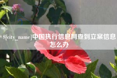 义乌中国执行信息网查到立案信息怎么办