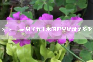 义乌男子五千米的世界纪录是多少