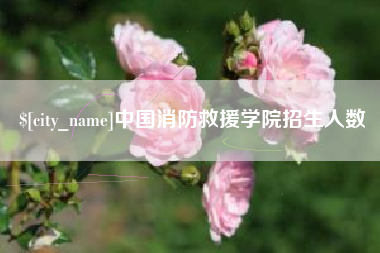 义乌中国消防救援学院招生人数