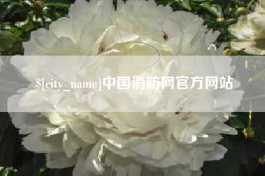 义乌中国消防网官方网站