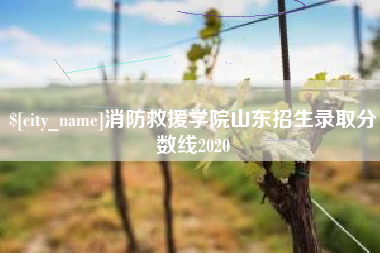 义乌消防救援学院山东招生录取分数线2020