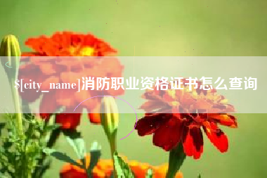 义乌消防职业资格证书怎么查询