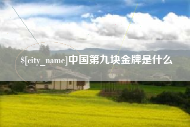 义乌中国第九块金牌是什么