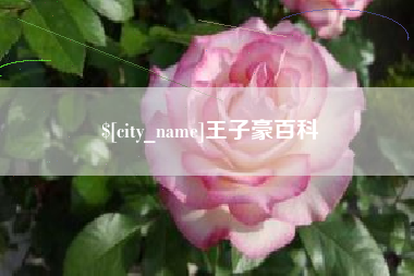 义乌王子豪百科