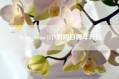 义乌119消防日哪年开始