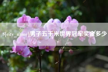 义乌男子五千米世界冠军奖金多少