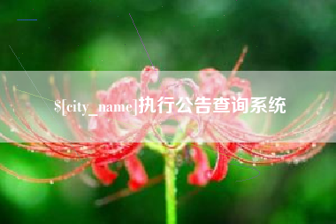 义乌执行公告查询系统