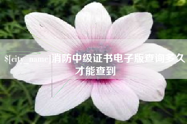 义乌消防中级证书电子版查询多久才能查到