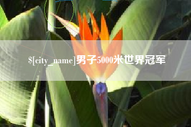 义乌男子5000米世界冠军