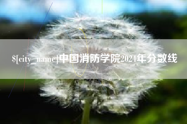 义乌中国消防学院2024年分数线