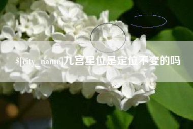 义乌九宫星位是定位不变的吗