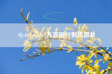 义乌九宫图分割线图片
