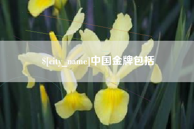 义乌中国金牌包括